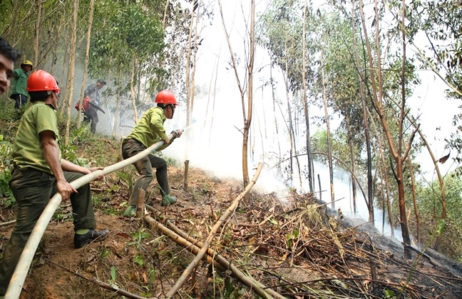 Sơn Tây: Diễn tập chữa cháy rừng năm 2023