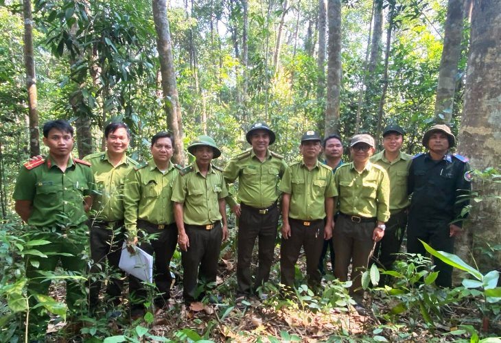 Sơn Tây: Phối hợp bảo vệ rừng tại khu vực giáp ranh giữa tỉnh Quảng...