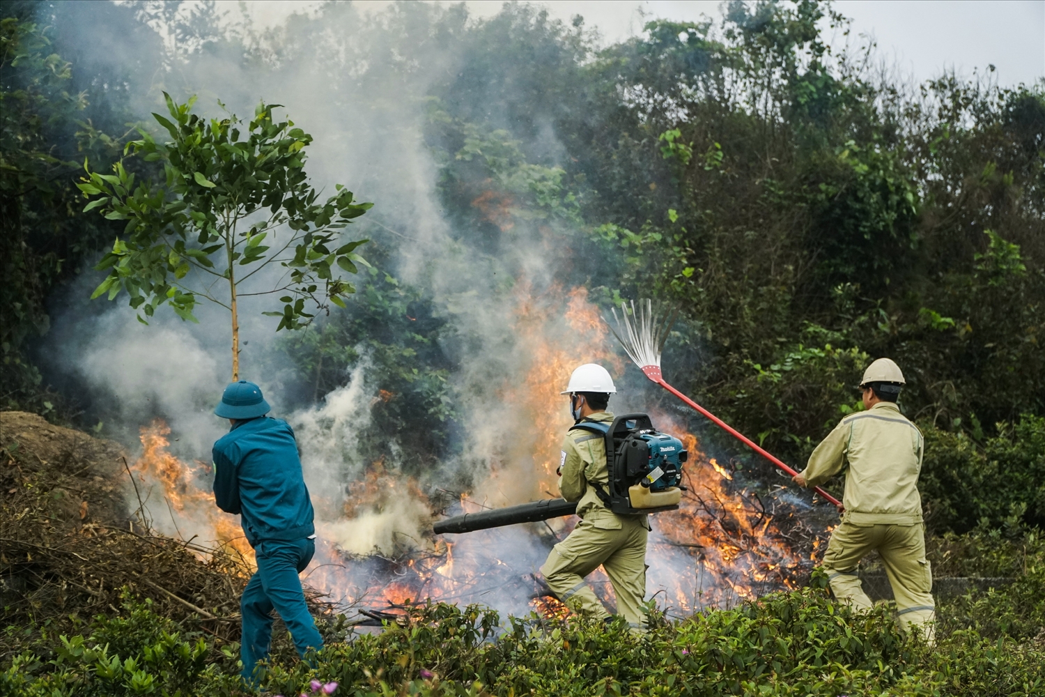 Tăng cường các biện pháp phòng cháy, chữa cháy rừng trên địa bàn tỉnh
