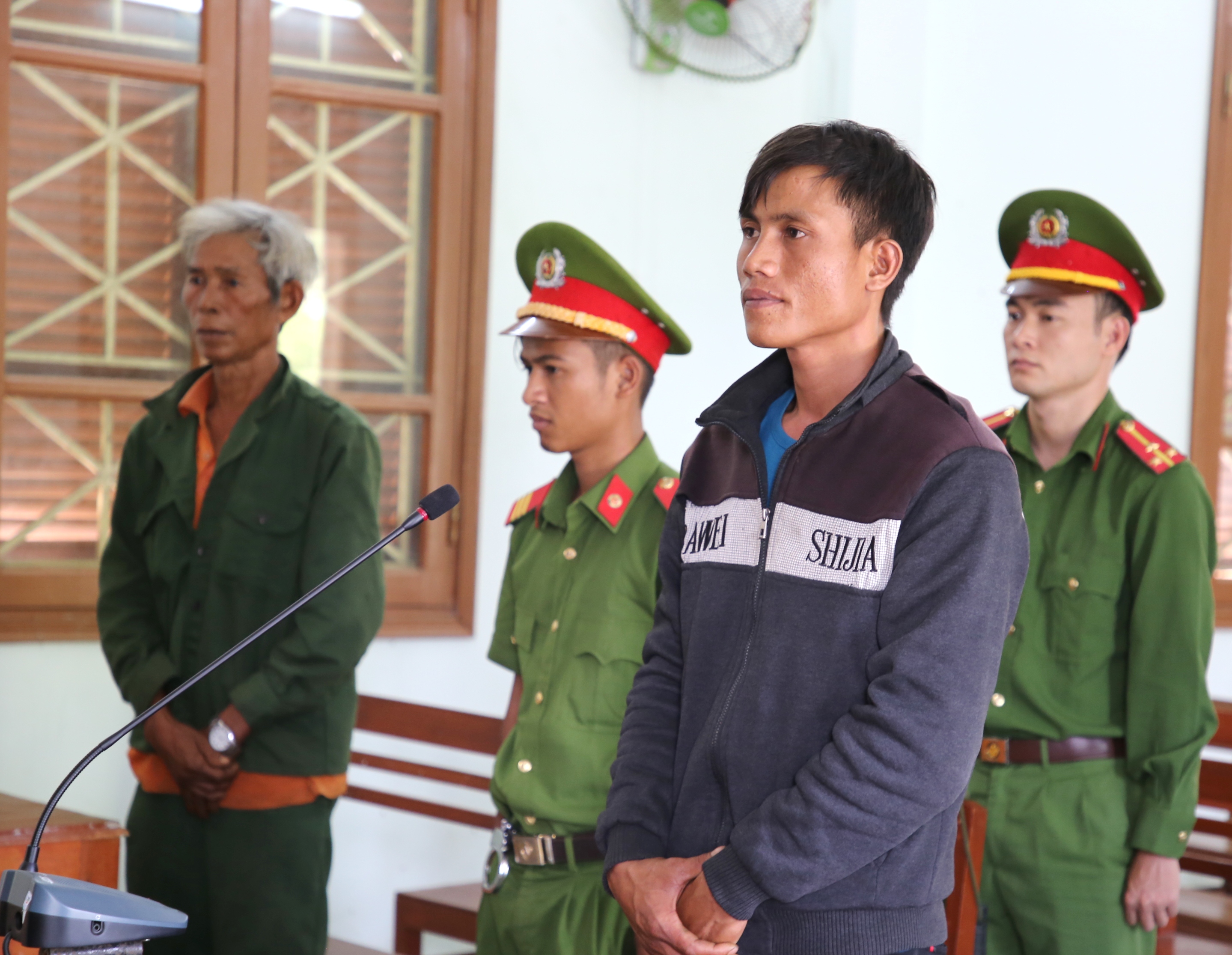Sơn Tây: Tuyên phạt 12 tháng tù về tội “Hủy hoại rừng”