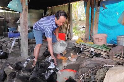 Sơn Tinh: Hiệu quả từ nguồn vốn vay của ngân hàng CSXH