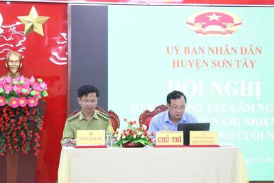 Hội nghị sơ kết công tác lâm nghiệp 6 tháng đầu năm, triển khai nhiệm vụ 6 tháng cuối năm 2025